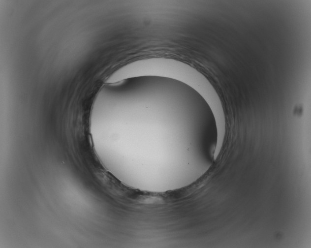 X0000112730572200909171130