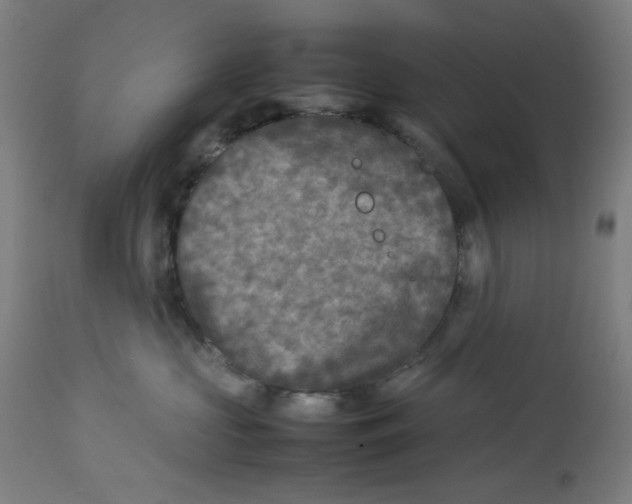 X0000112730573200909171130