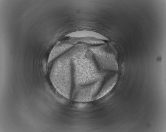 X0000112730575200909171130