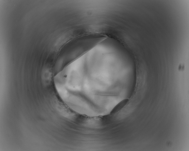 X0000112730576200909171130