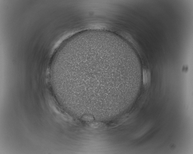 X0000112730579200909171129