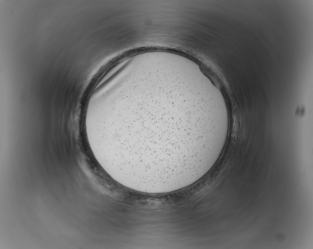 X0000112730580200909171129