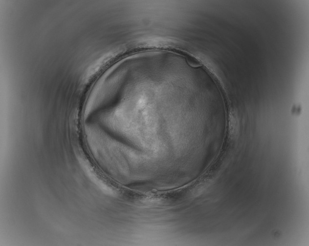 X0000112730581200909171129