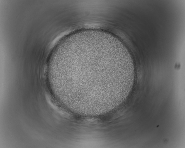 X0000112730583200909171129