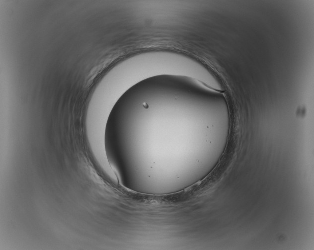 X0000112730585200909171129