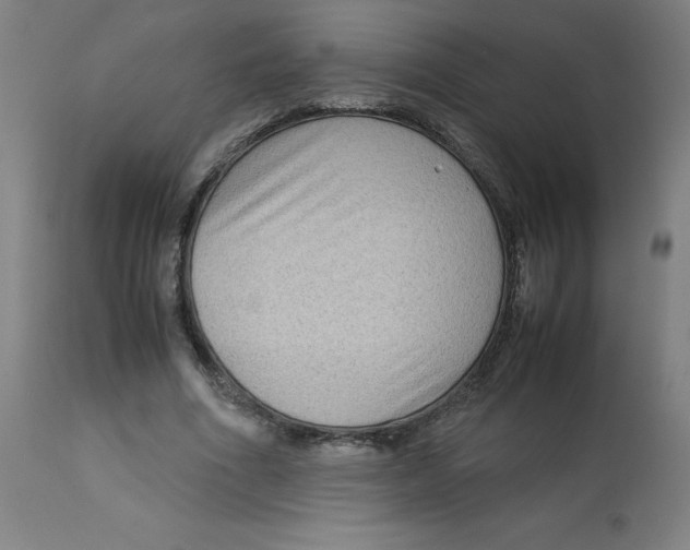 X0000112730586200909171129