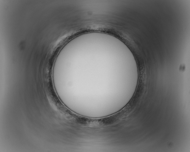 X0000112730587200909171129