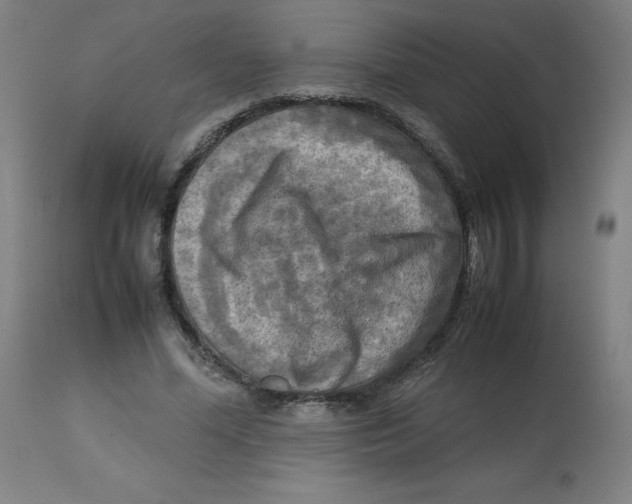 X0000112730588200909171129