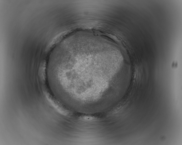 X0000112730590200909171129