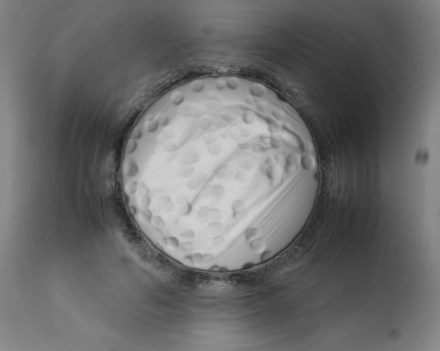 X0000112730594200909171129