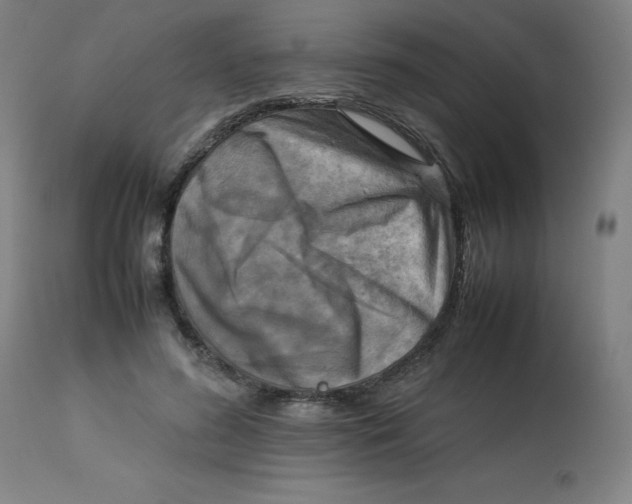 X0000112730596200909171129