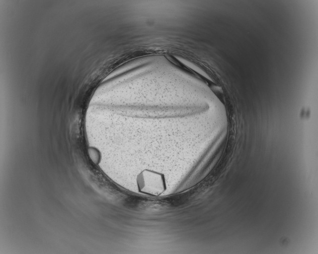 X0000112730597200909171129