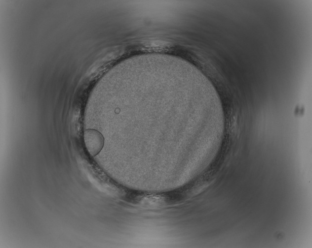 X0000112730599200909171129