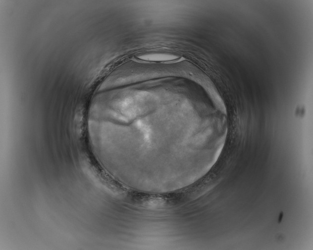 X0000112730600200909171129