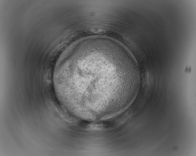 X0000112730606200909171129