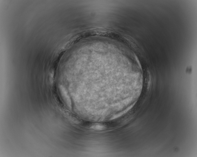 X0000112730610200909171129