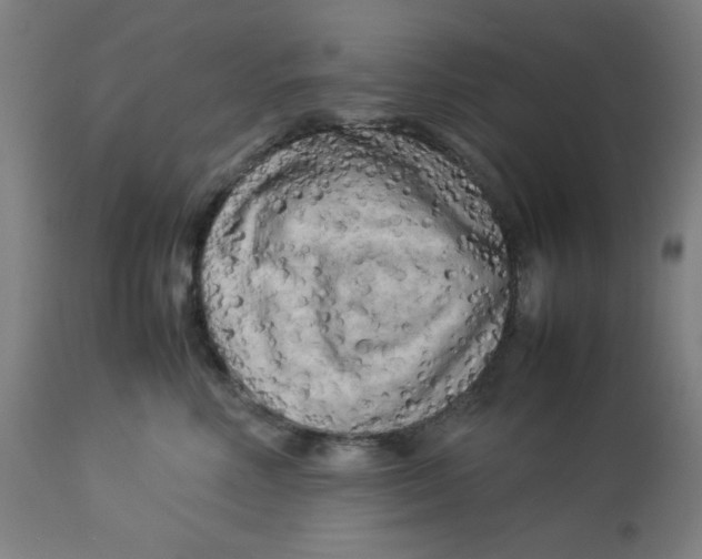X0000112730618200909171128