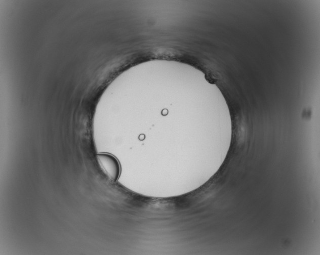 X0000112730619200909171128