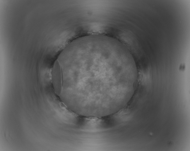 X0000112730621200909171128
