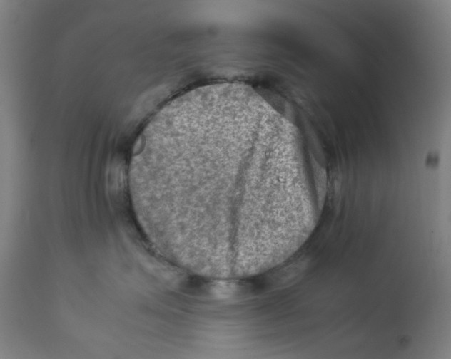 X0000112730623200909171128