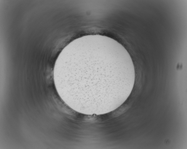 X0000112730624200909171128