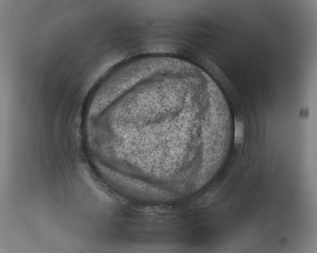 X0000112730627200909171128