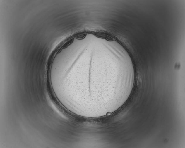 X0000112730630200909171128