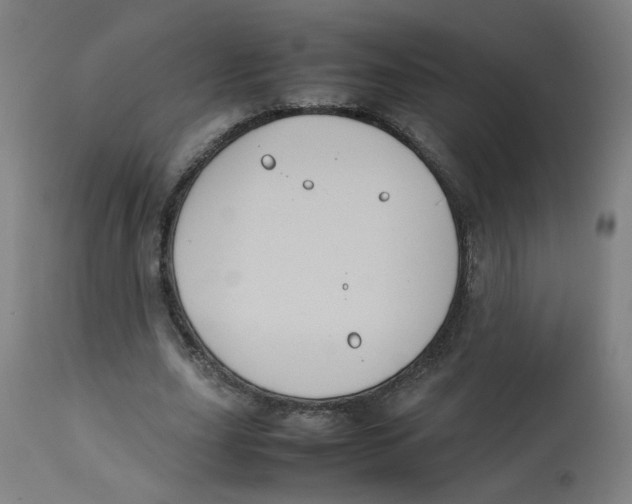 X0000112730631200909171128
