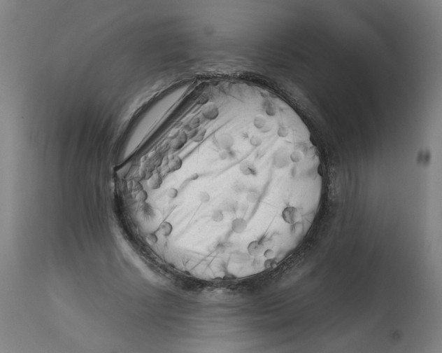 X0000112730634200909171128