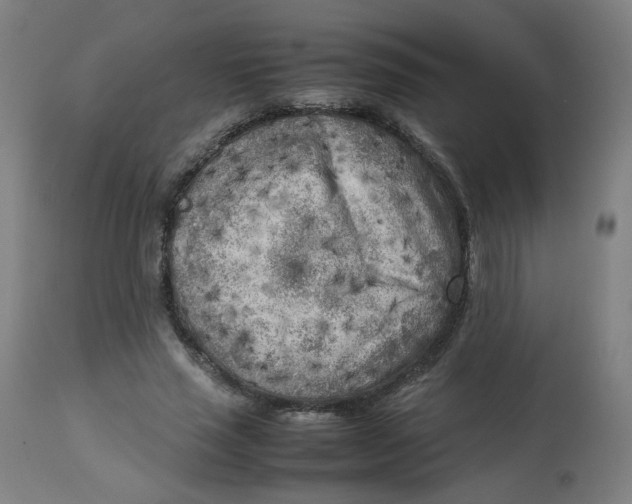 X0000112730637200909171128