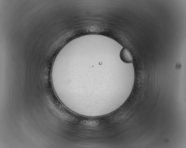 X0000112730639200909171128