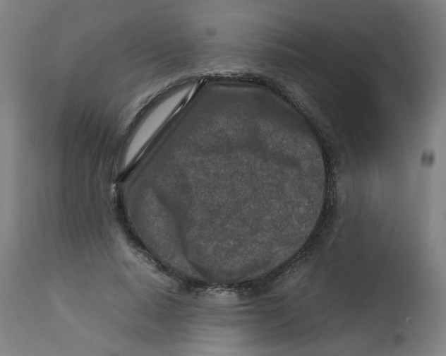 X0000112730640200909171128