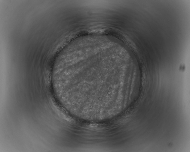 X0000112730641200909171128