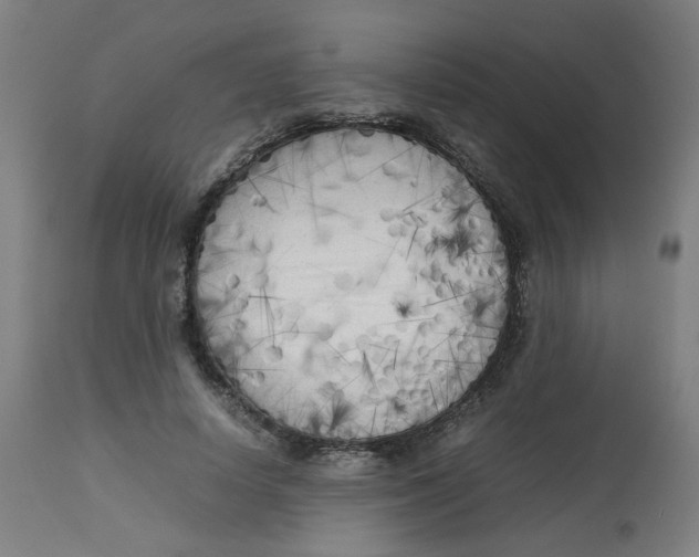 X0000112730642200909171128
