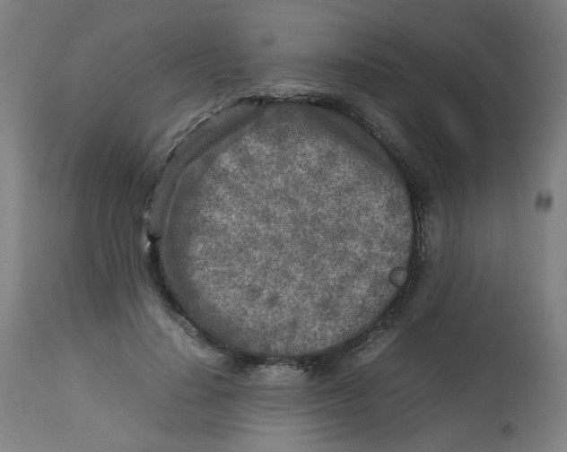 X0000112730644200909171128