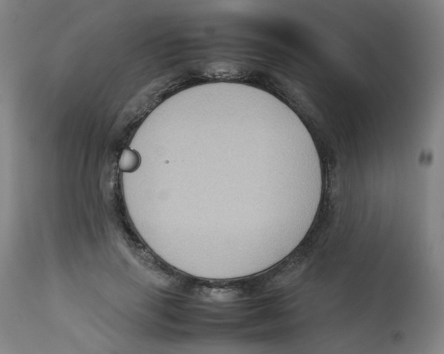 X0000112730645200909171128