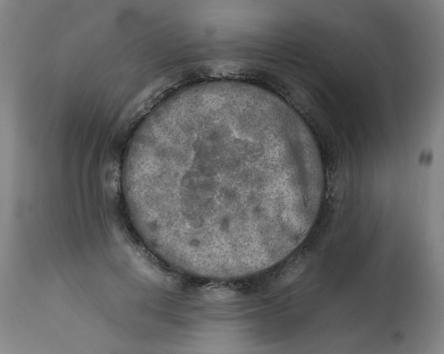 X0000112730648200909171128