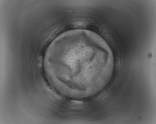 X0000112730649200909171128
