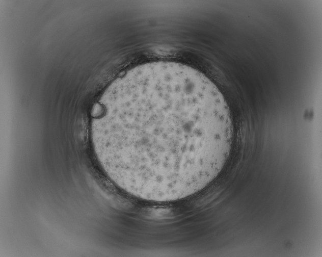 X0000112730651200909171128