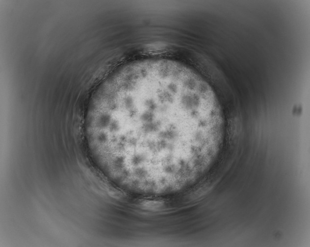 X0000112730653200909171128