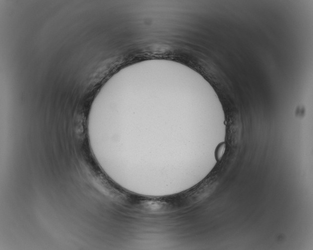 X0000112730654200909171128
