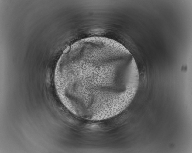 X0000112730655200909171128