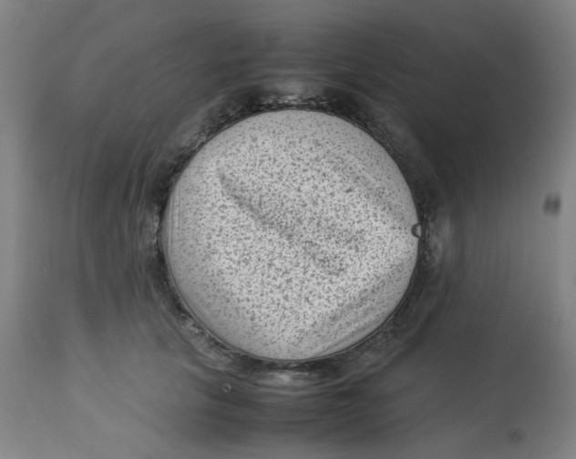 X0000112730657200909171128