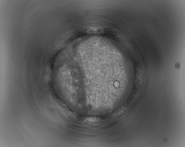 X0000112730659200909171128