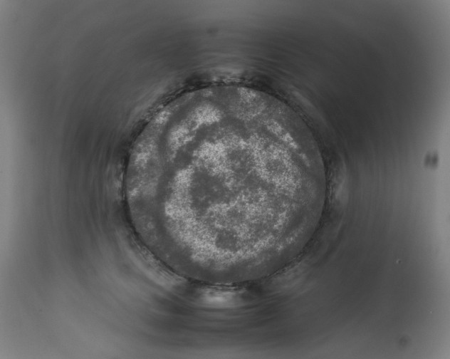 X0000112730661200909171128