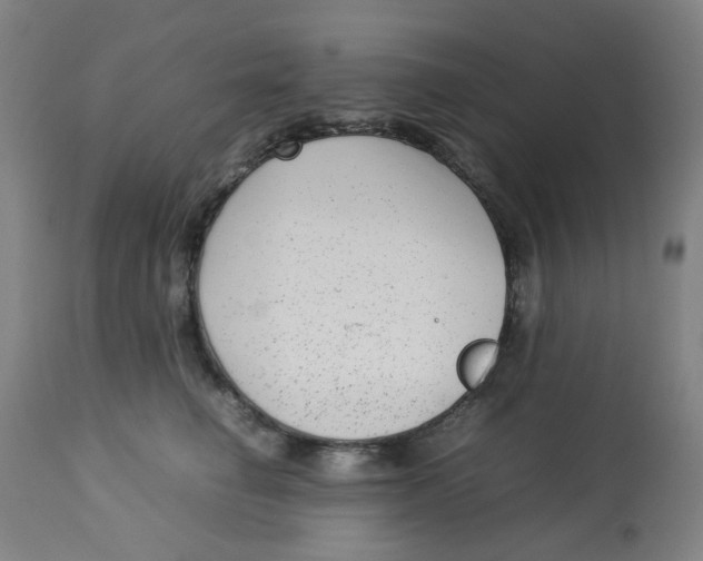 X0000112730662200909171128