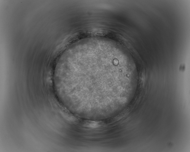 X0000112730663200909171128