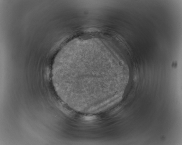 X0000112730669200909171128