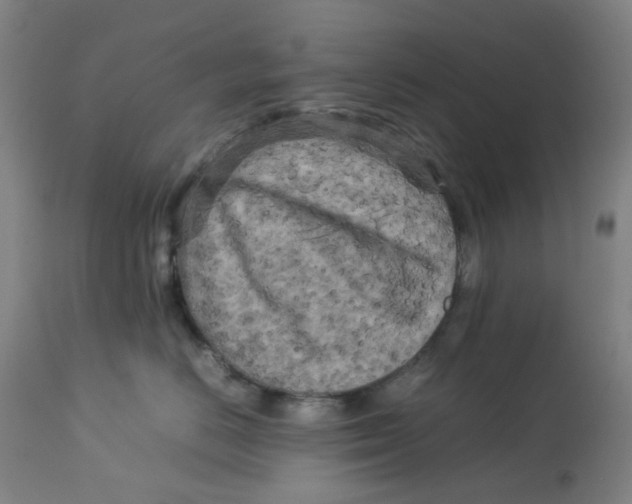 X0000112730670200909171128