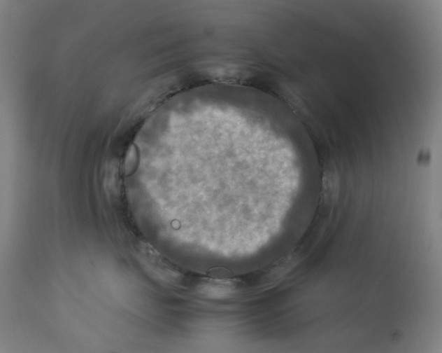 X0000112730671200909171128